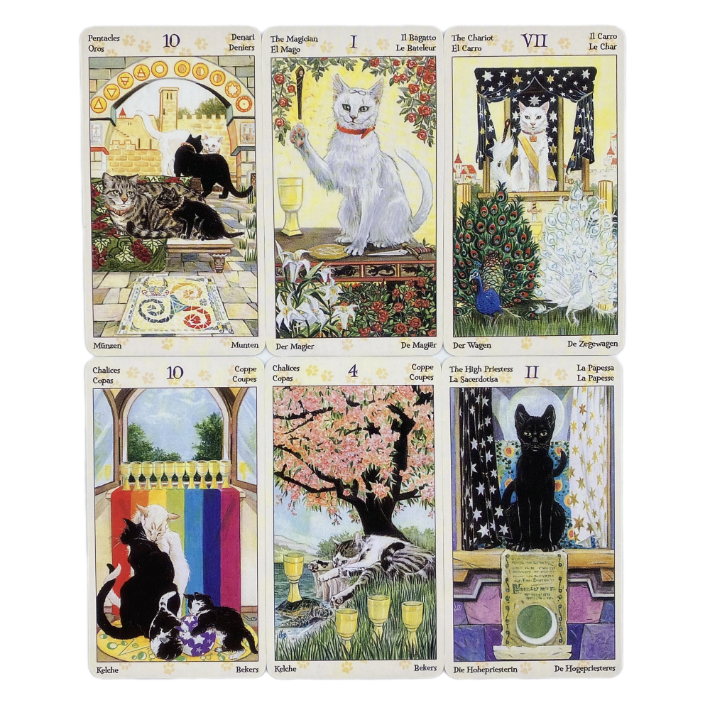 78 Cards Deck Tarot Of Pagan C - Board Game Oracle avis et prix