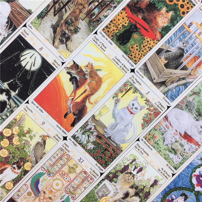 78 Cards Deck Tarot Of Pagan C - Board Game Oracle avis et prix